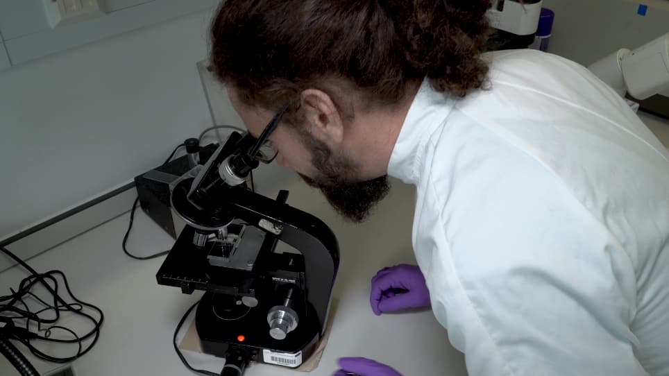 High-throughput Measurement of Dictyostelium discoideum Macropinocytosis by Flow Cytometry