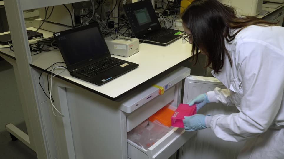 Quantitative Polymerase Chain Reaction-based Analyses of Murine Intestinal Microbiota After Oral Antibiotic Treatment
