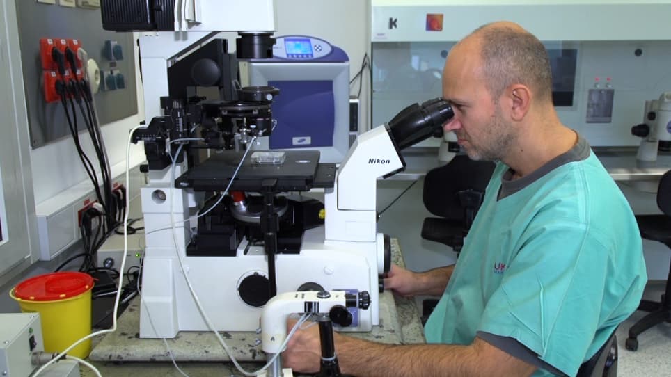 Morphometric Protocol for the Objective Assessment of Blastocyst Behavior During Vitrification and Warming Steps