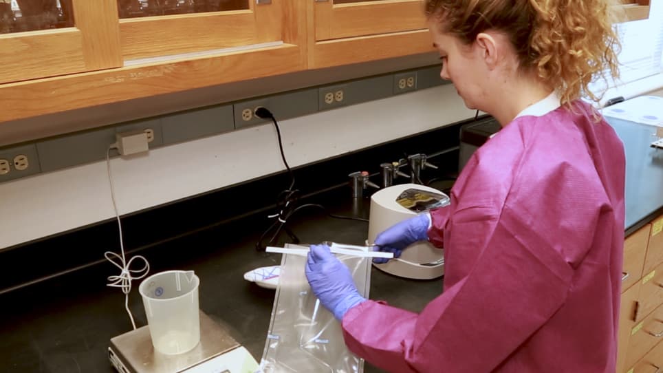 Quasi-metagenomic Analysis of Salmonella from Food and Environmental Samples
