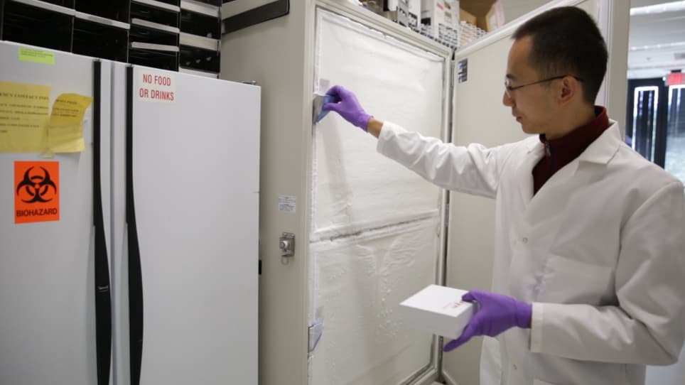 High-resolution Patterned Biofilm Deposition Using pDawn-Ag43