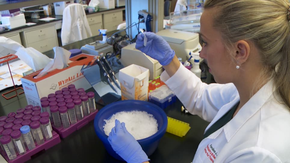 Purification of H3 and H4 Histone Proteins and the Quantification of Acetylated Histone Marks in Cells and Brain Tissue