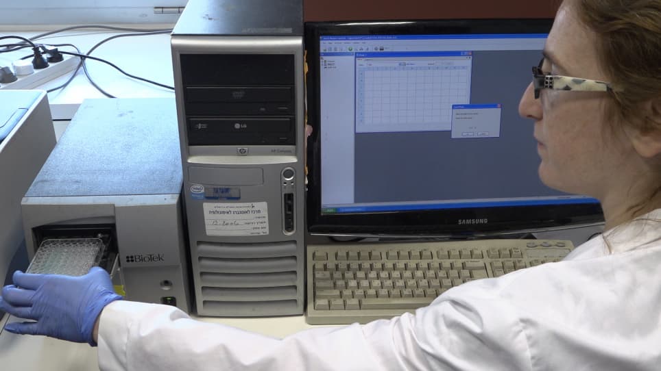 A BW Reporter System for Studying Receptor-Ligand Interactions