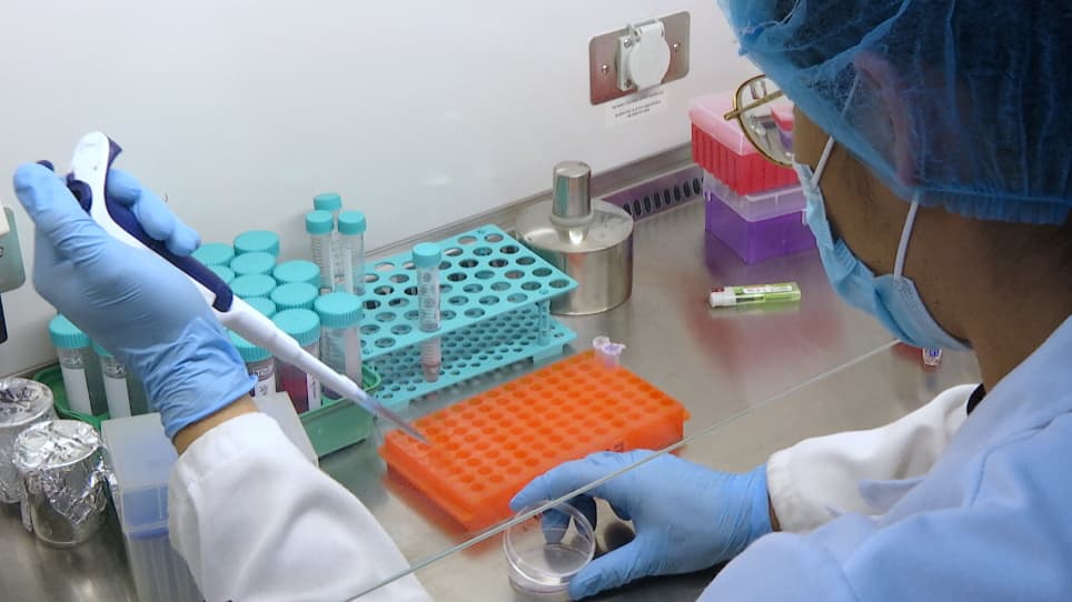 Establishing Cell Lines Overexpressing DR3 to Assess the Apoptotic Response to Anti-mitotic Therapeutics