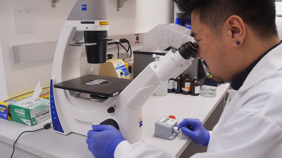 Investigation of Genetic Dependencies Using CRISPR-Cas9-based Competition Assays