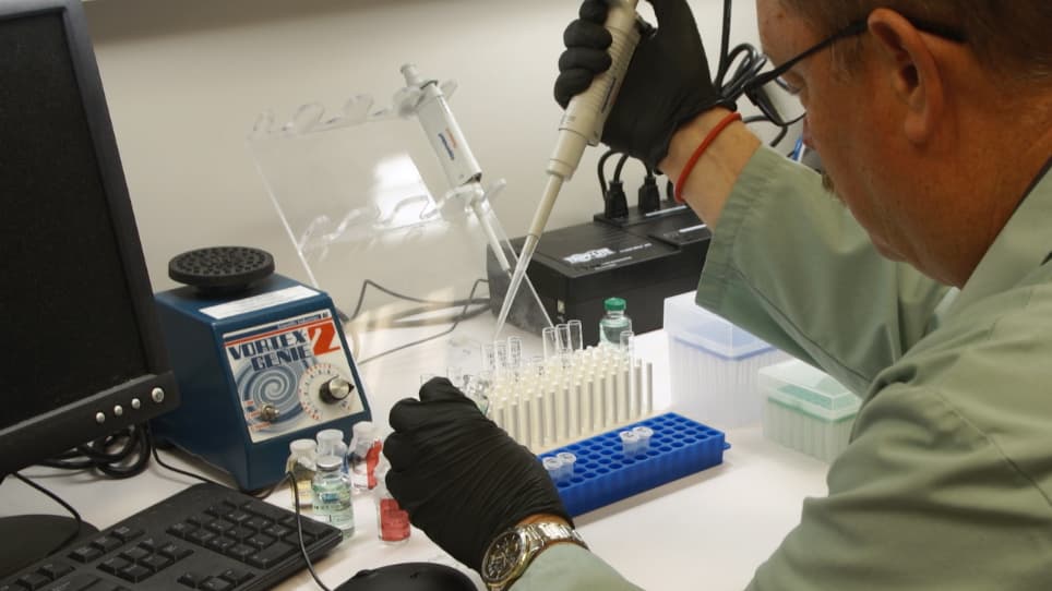 Detection of Endotoxin in Nano-formulations Using Limulus Amoebocyte Lysate LAL Assays