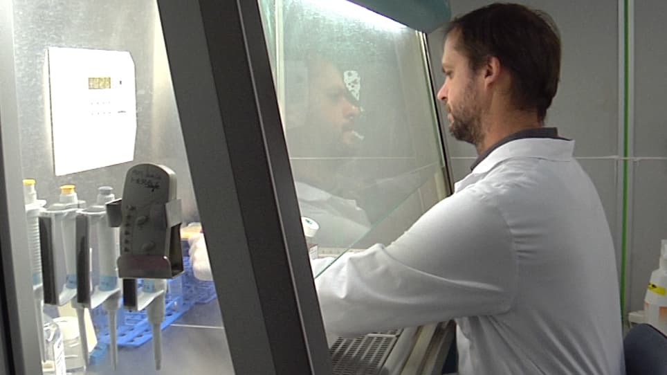 In Vitro Differentiation Model of Human Normal Memory B Cells to Long-lived Plasma Cells