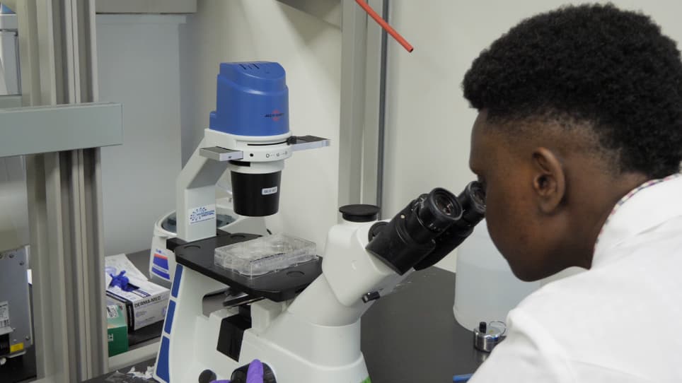 In Vitro Assays to Evaluate the Migration, Invasion, and Proliferation of Immortalized Human First-trimester Trophoblast Cell Lines