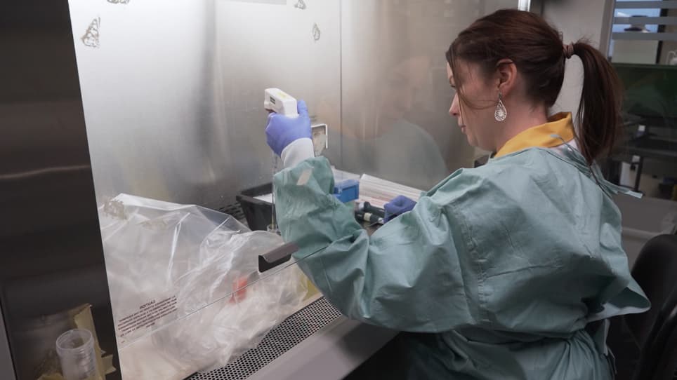 Production, Purification, and Quality Control for Adeno-associated Virus-based Vectors