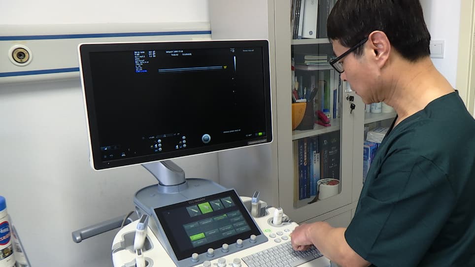 Protocol and Guidelines for Point-of-Care Lung Ultrasound in Diagnosing Neonatal Pulmonary Diseases Based on International Expert Consensus
