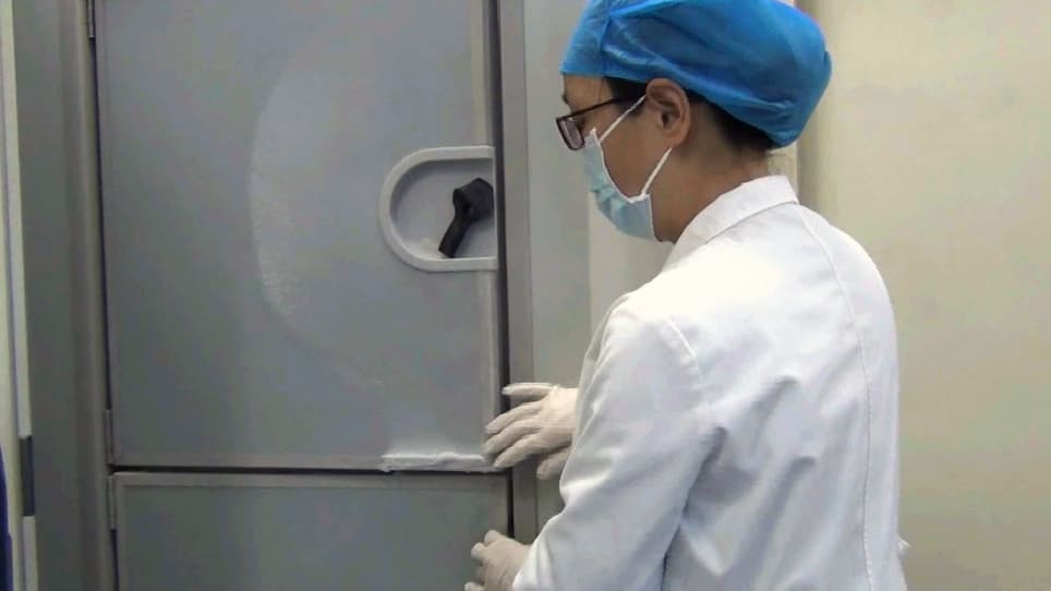 Modified Blood Collection from Tail Veins of Non-anesthetized Mice with a Vacuum Blood Collection System and Eyeglass Magnifier