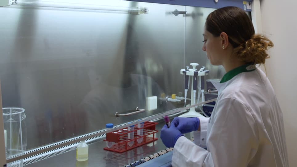 A High-throughput Assay to Assess and Quantify Neutrophil Extracellular Trap Formation