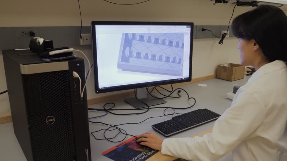 3D Analysis of Multi-cellular Responses to Chemoattractant Gradients
