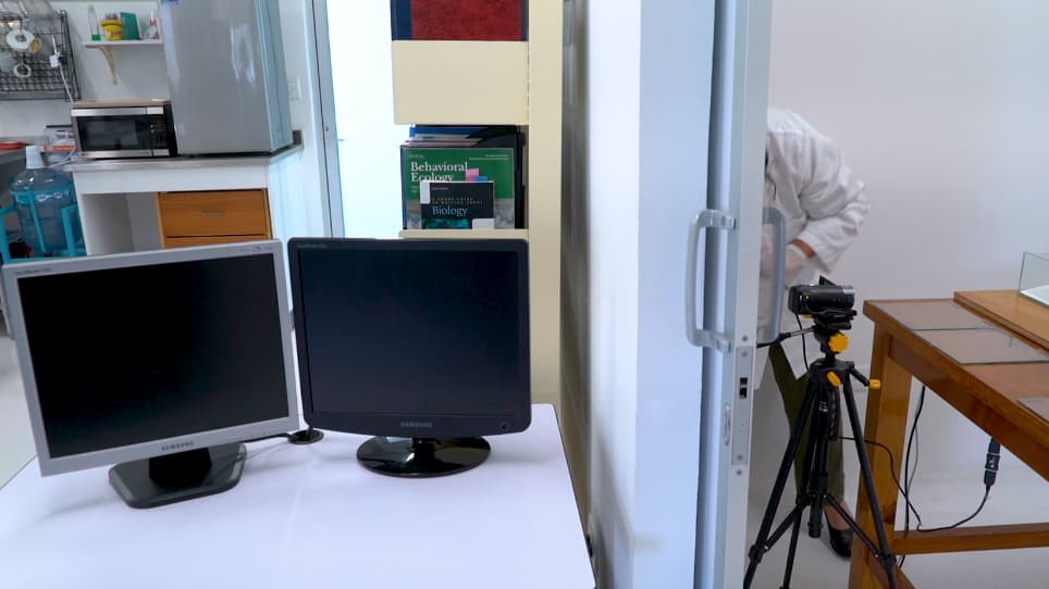 A Laboratory Method to Measure Contagious Yawning in Rats