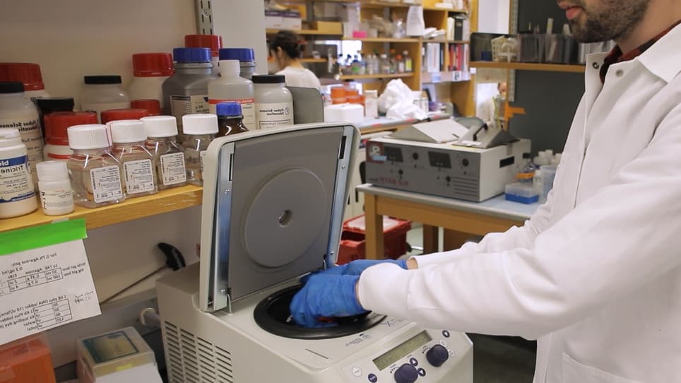 Rapid Lipid Droplet Isolation Protocol Using a Well-established Organelle Isolation Kit