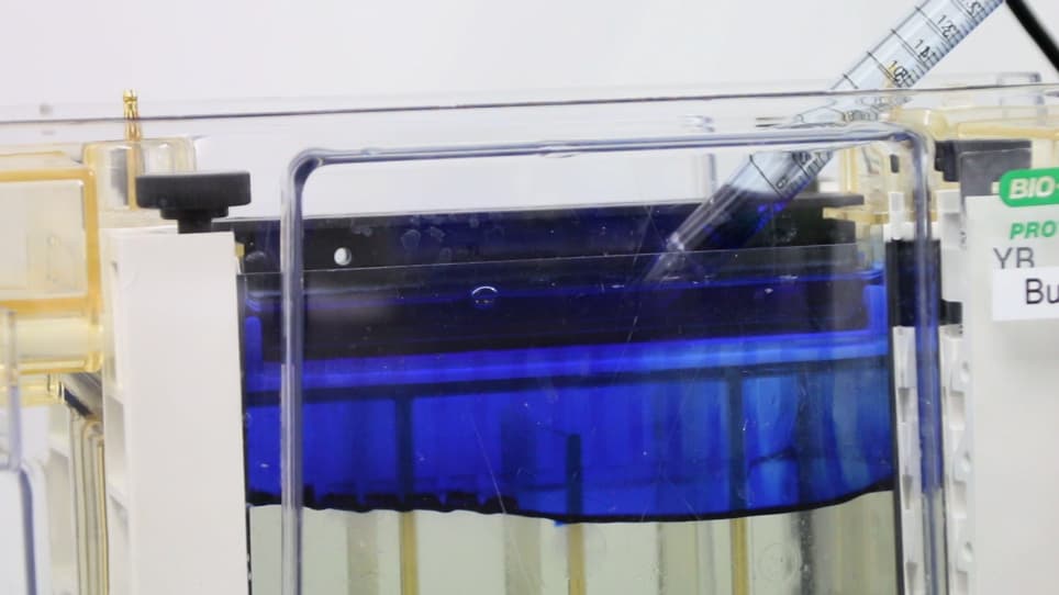 Hybrid Clear/Blue Native Electrophoresis for the Separation and Analysis of Mitochondrial Respiratory Chain Supercomplexes