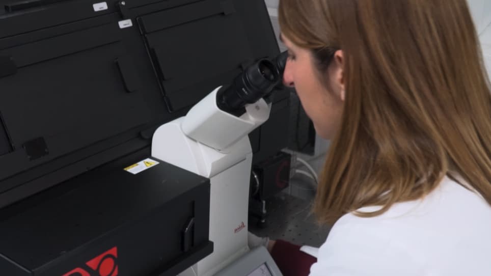 Image Processing Protocol for the Analysis of the Diffusion and Cluster Size of Membrane Receptors by Fluorescence Microscopy