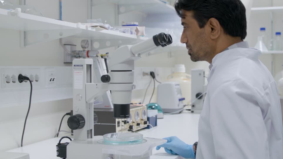 Rapid Evaluation of Toxicity of Chemical Compounds Using Zebrafish Embryos