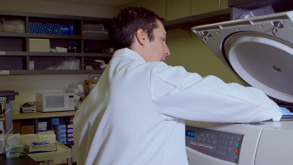An Automated Method to Perform The In Vitro Micronucleus Assay using Multispectral Imaging Flow Cytometry