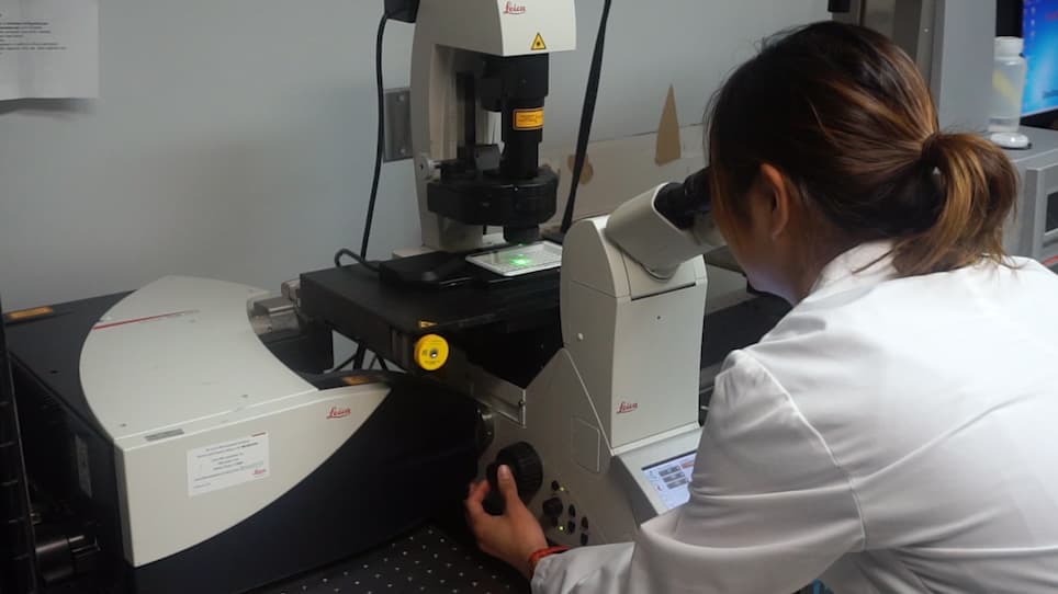 High Throughput Traction Force Microscopy Using PDMS Reveals Dose-Dependent Effects of Transforming Growth Factor-β on the Epithelial-to-Mesenchymal Transition