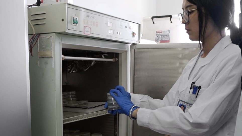 Using Caenorhabditis elegans for Studying Trans- and Multi-Generational Effects of Toxicants