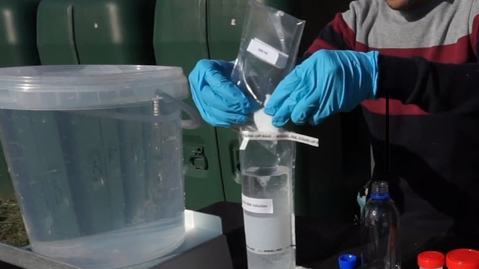 VirWaTest, A Point-of-Use Method for the Detection of Viruses in Water Samples