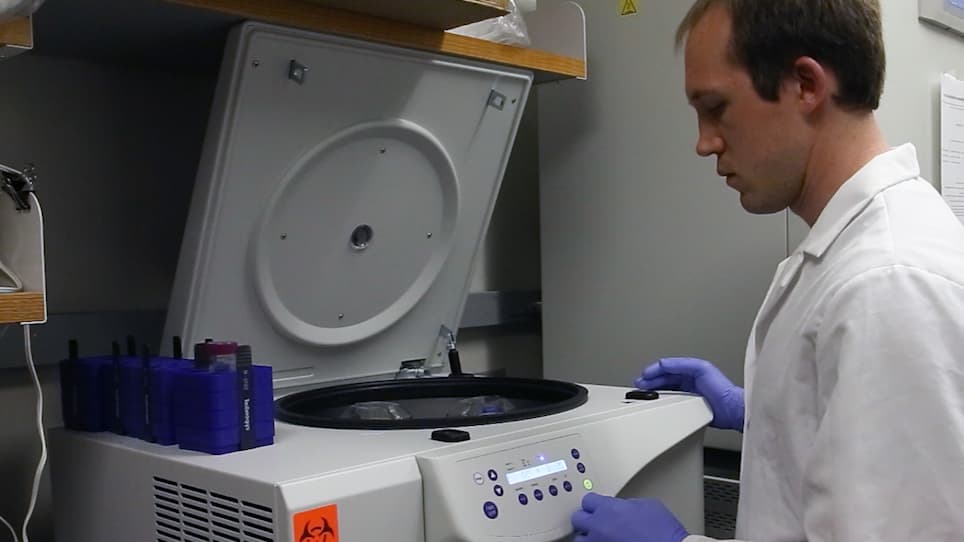 Rapid Generation of Primary Murine Melanocyte and Fibroblast Cultures