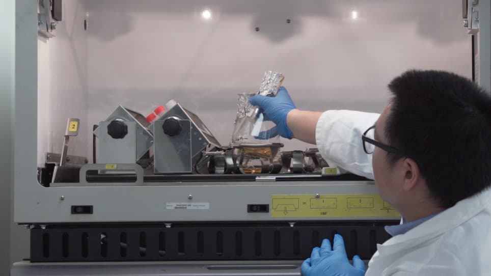 Three-dimensional Patterning of Engineered Biofilms with a Do-it-yourself Bioprinter