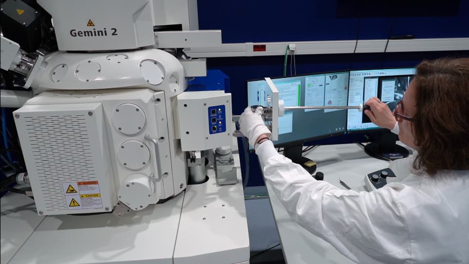 Targeted Studies Using Serial Block Face and Focused Ion Beam Scan Electron Microscopy