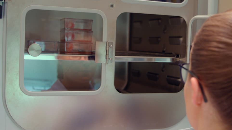 Fully Human Tumor-based Matrix in Three-dimensional Spheroid Invasion Assay