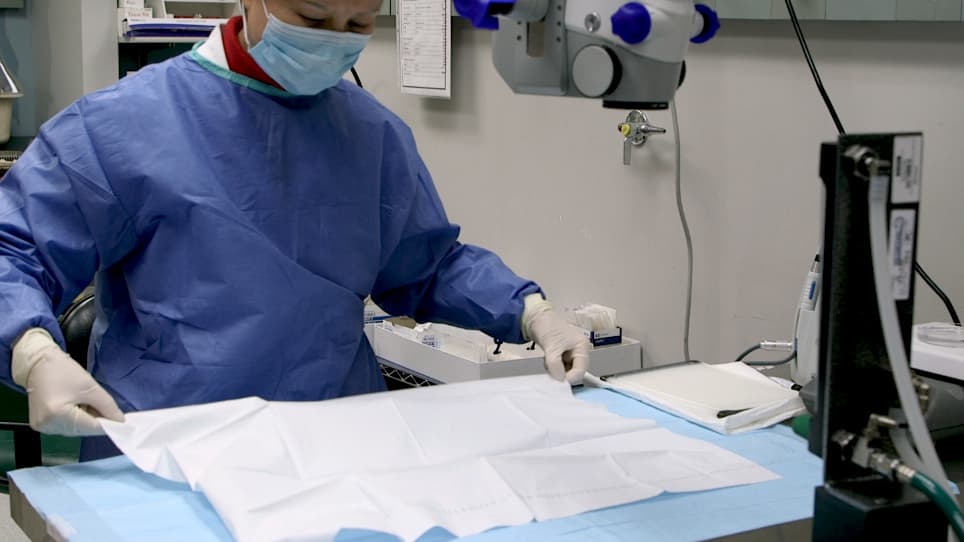 A Mouse Model of Vascularized Heterotopic Spleen Transplantation for Studying Spleen Cell Biology and Transplant Immunity