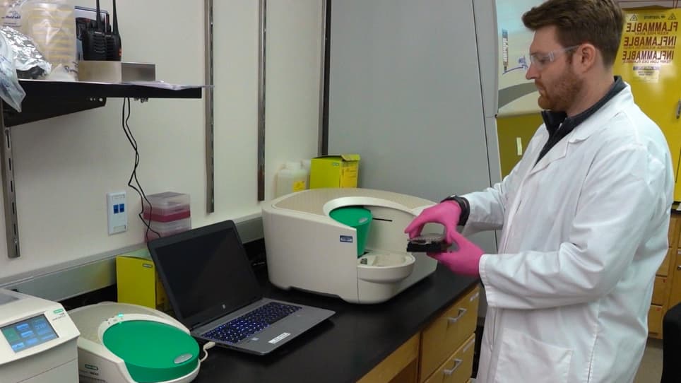 Digital PCR-based Competitive Index for High-throughput Analysis of Fitness in Salmonella
