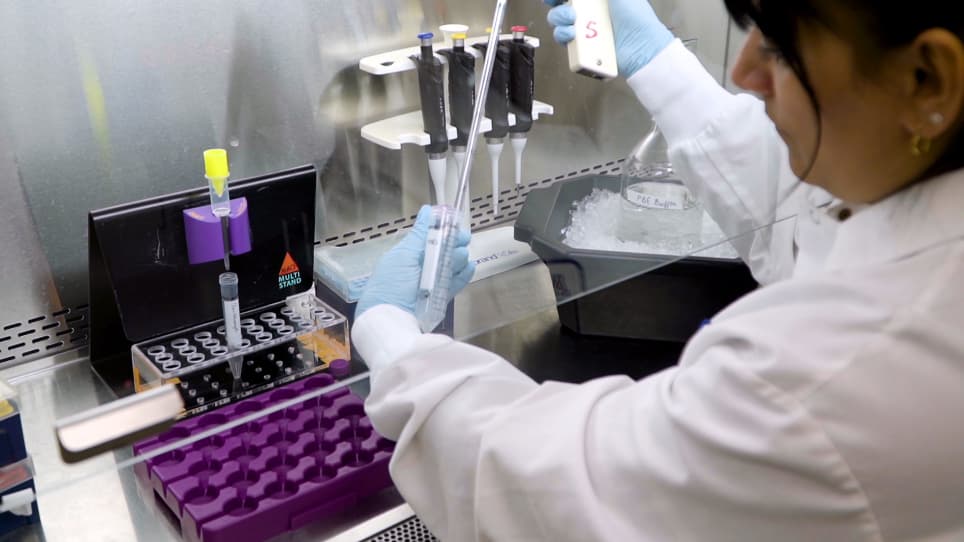 Pan-myeloid Differentiation of Human Cord Blood Derived CD34<sup>+</sup> Hematopoietic Stem and Progenitor Cells