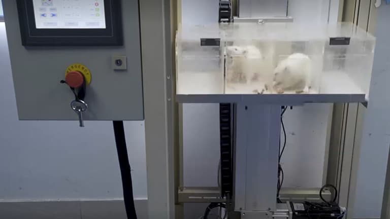 Assessing the Autonomic and Behavioral Effects of Passive Motion in Rats using Elevator Vertical Motion and Ferris-Wheel Rotation