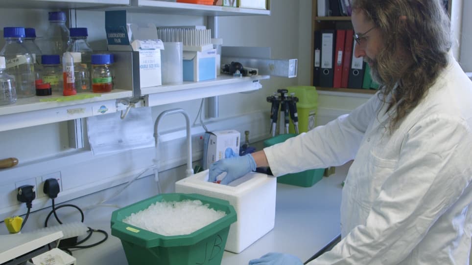 Tuning Degradation to Achieve Specific and Efficient Protein Depletion