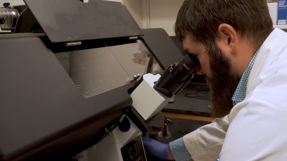 Live-Cell Fluorescence Microscopy to Investigate Subcellular Protein Localization and Cell Morphology Changes in Bacteria