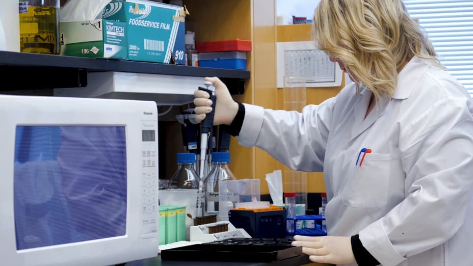 Optimization, Design and Avoiding Pitfalls in Manual Multiplex Fluorescent Immunohistochemistry