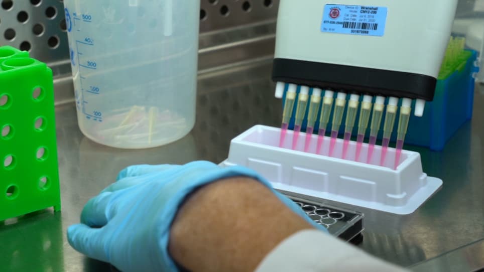 Measuring Proliferation of Vascular Smooth Muscle Cells Using Click Chemistry