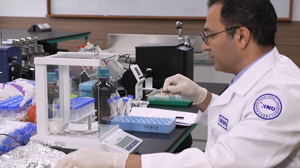 Cortisol Extraction from Sturgeon Fin and Jawbone Matrices