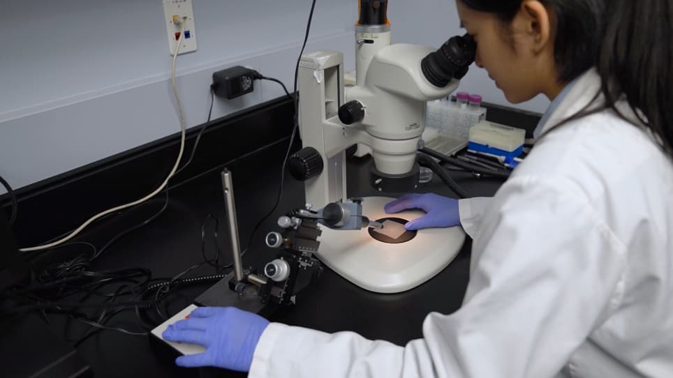 Microinjection of DNA into Eyebuds in <em>Xenopus laevis</em> Embryos and Imaging of GFP Expressing Optic Axonal Arbors in Intact, Living <em>Xenopus</em> Tadpoles