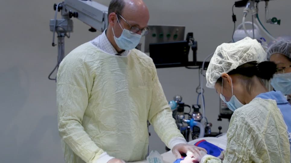 Establishment of a Severe Dry Eye Model Using Complete Dacryoadenectomy in Rabbits
