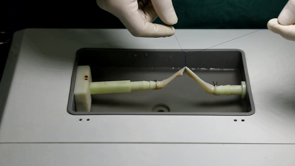 A Training and Testing System for Performing Vascular Reconstruction In Vitro