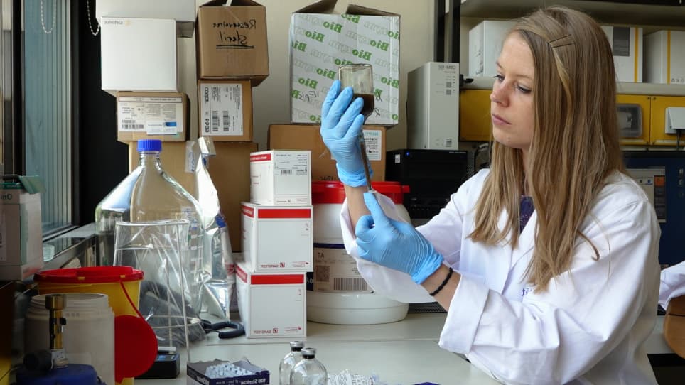 Medium Preparation for the Cultivation of Microorganisms under Strictly Anaerobic/Anoxic Conditions