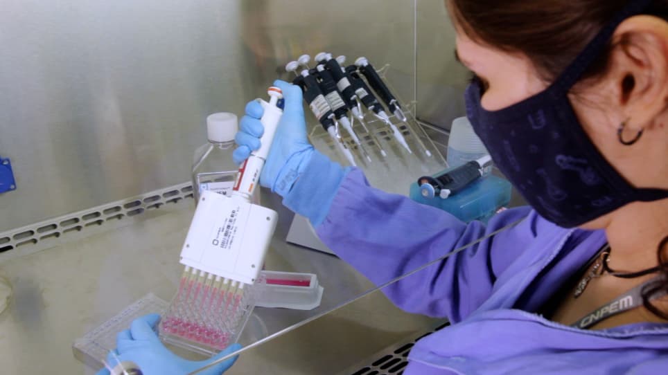 An Intestine/Liver Microphysiological System for Drug Pharmacokinetic and Toxicological Assessment