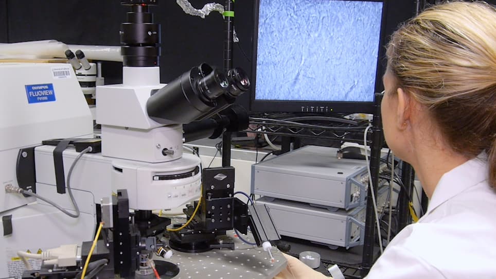 Visualizing Astrocyte Morphology Using Lucifer Yellow Iontophoresis