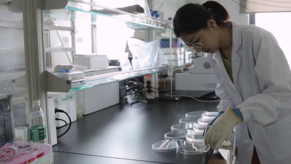 Light Spot-Based Assay for Analysis of Drosophila Larval Phototaxis