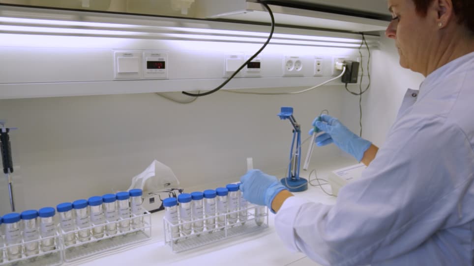 Monitoring Extracellular pH in Cross-Kingdom Biofilms using Confocal Microscopy