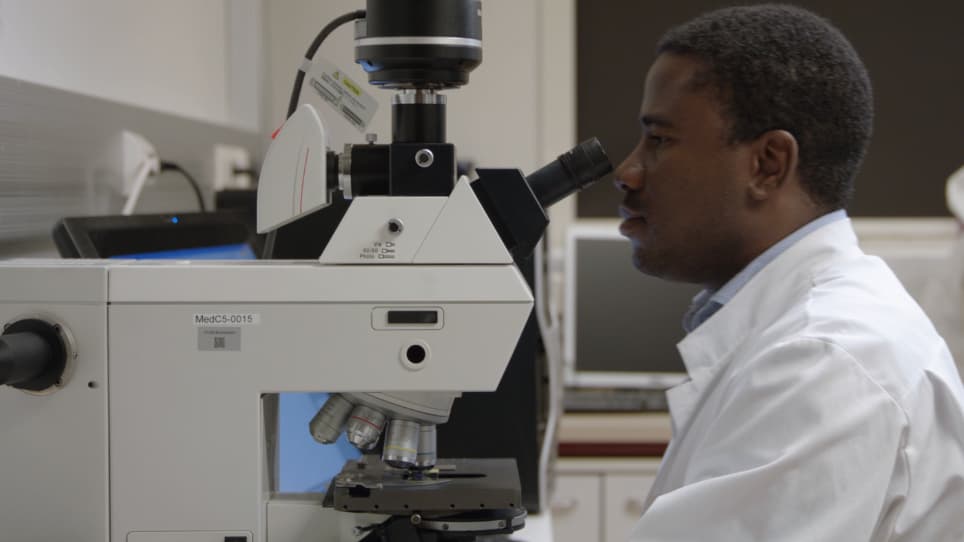 Enrichment of Pachytene Spermatocytes and Spermatids from Mouse Testes Using Standard Laboratory Equipment