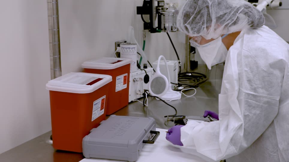 Intrathecal Delivery of Antisense Oligonucleotides in the Rat Central Nervous System