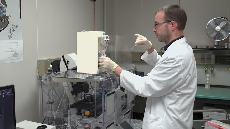 Pneumococcus Infection of Primary Human Endothelial Cells in Constant Flow